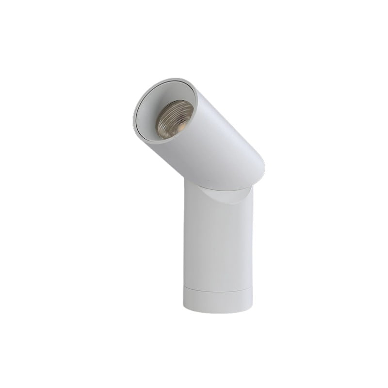 Led Adjustable Spot Light